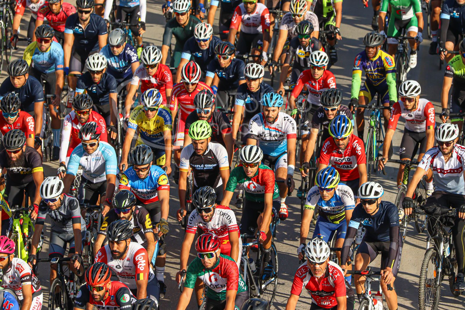 The peloton sweeping through a sunlit road race