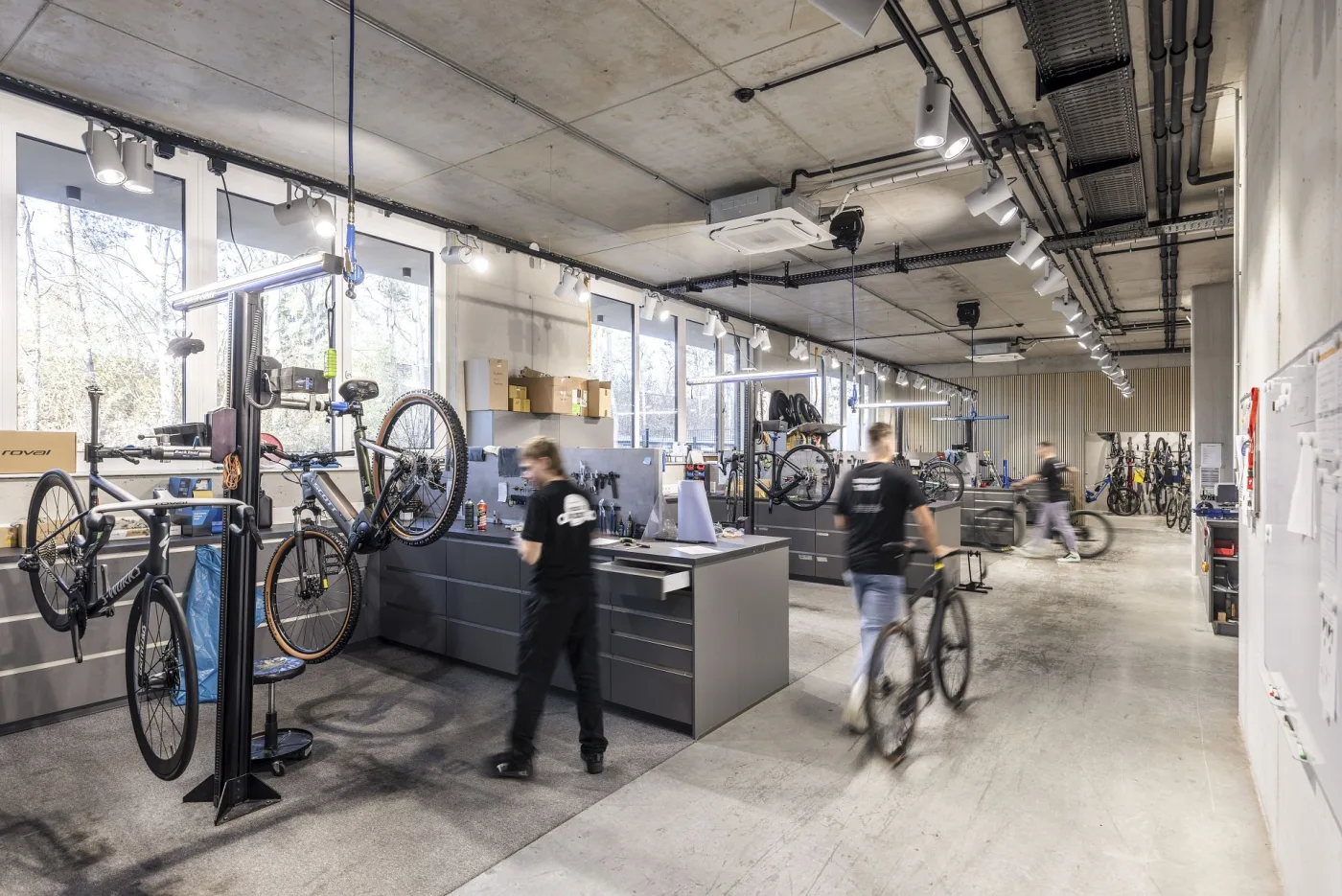 The shop's workshop and goods-in area
